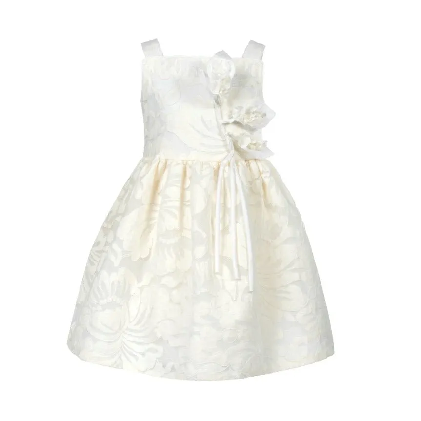 Floral Appliqué Lace Dress
